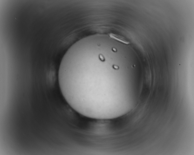 X0000091470128200709241312