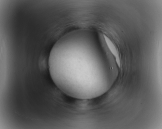 X0000091470131200709241312