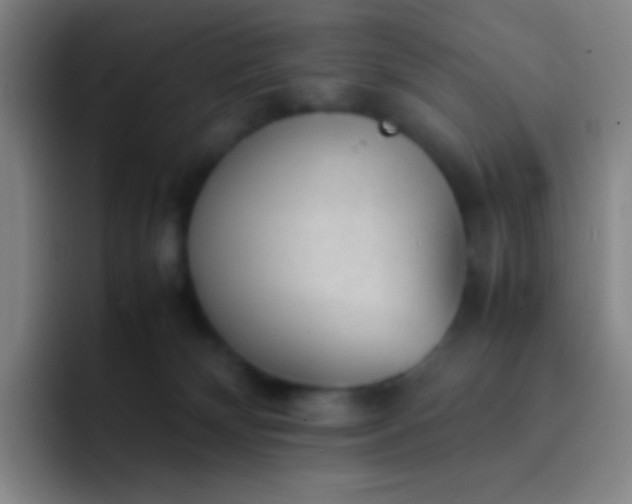 X0000091470132200709241312