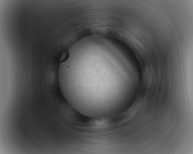 X0000091470134200709241312