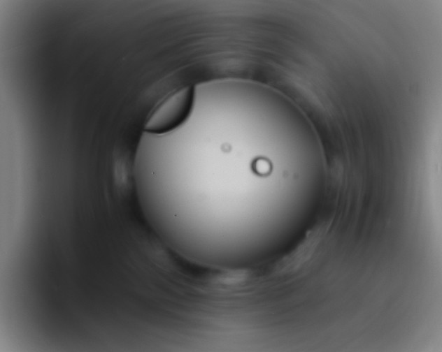 X0000091470138200709241312