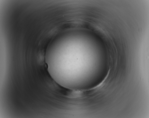 X0000091470144200709241312