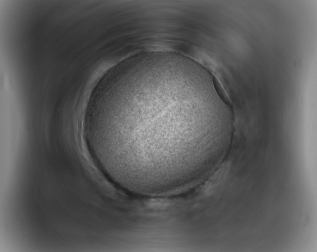 X0000091470145200709241311