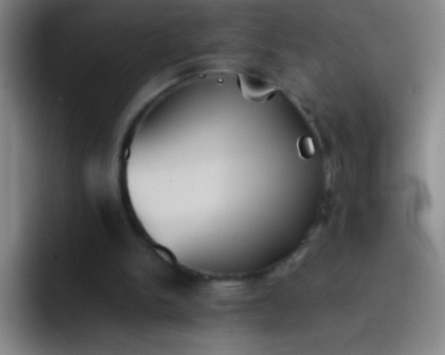 X0000091470150200709241312