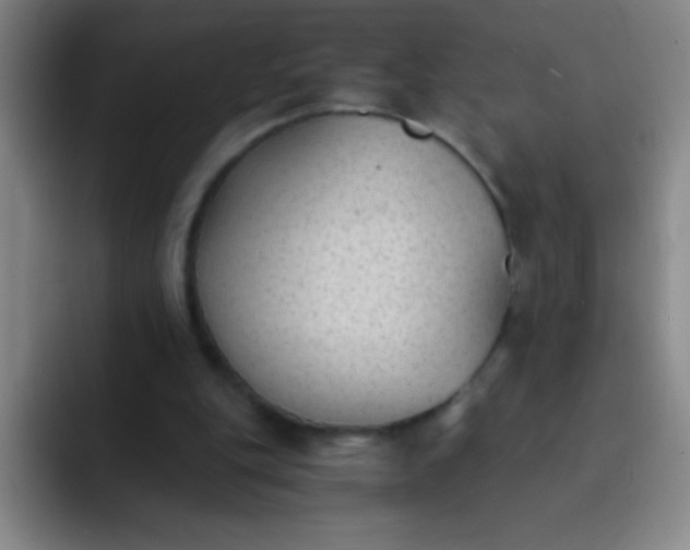 X0000091470151200709241312