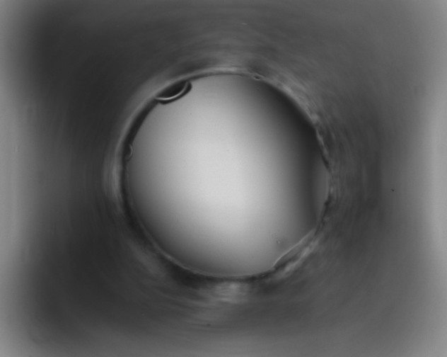 X0000091470152200709241312