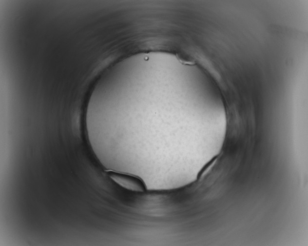 X0000091470154200709241312