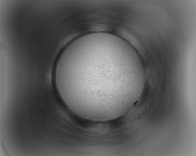 X0000091470155200709241312