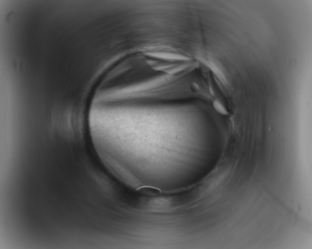 X0000091470156200709241312