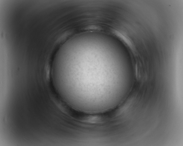 X0000091470157200709241312