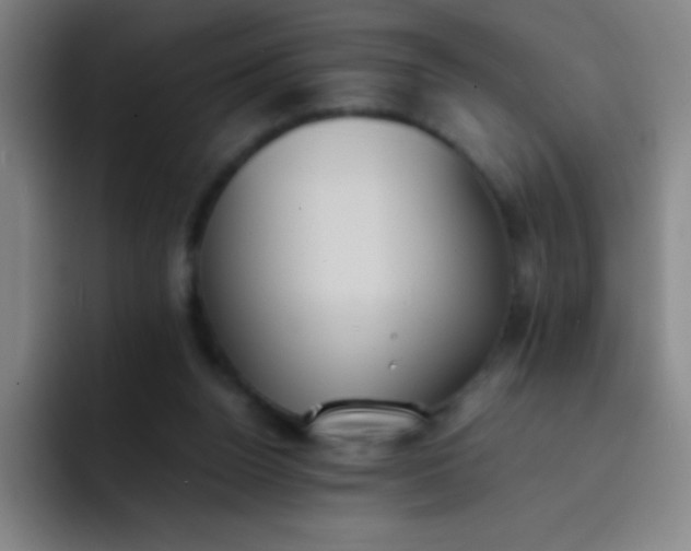 X0000091470160200709241312