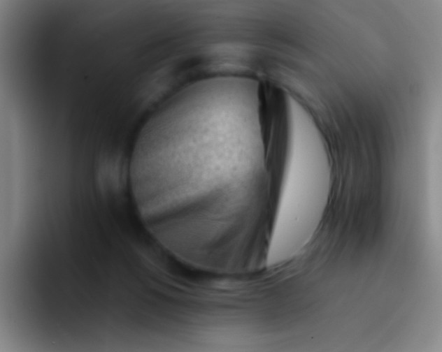 X0000091470168200709241312