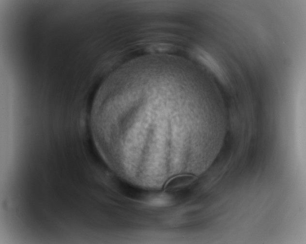 X0000091470169200709241312