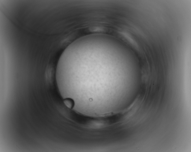 X0000091470171200709241312