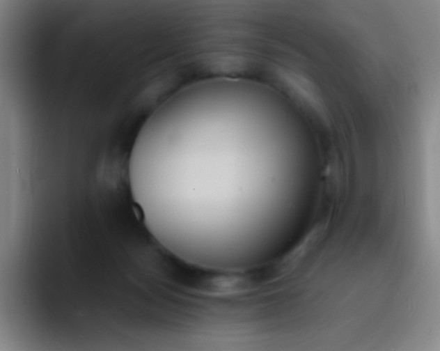 X0000091470172200709241312