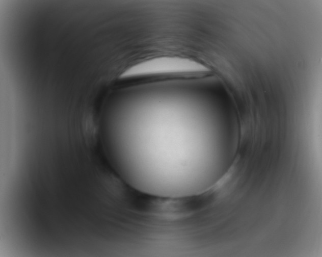 X0000091470186200709241312