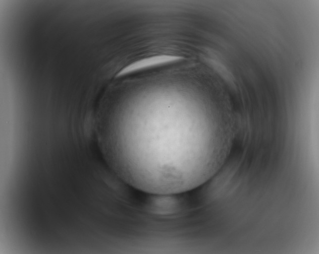 X0000091470189200709241312