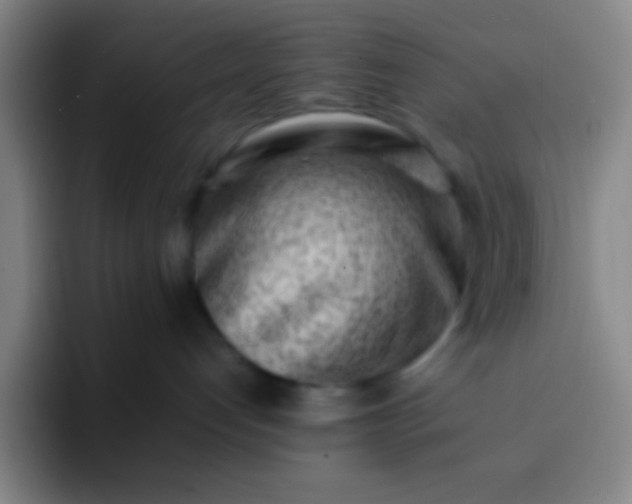 X0000091470192200709241312