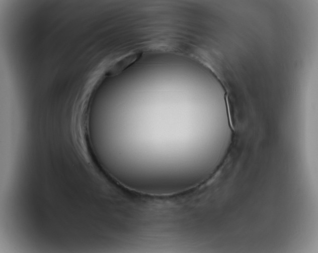 X0000091470193200709241311