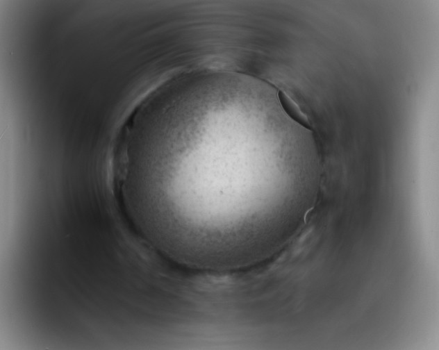 X0000091470194200709241311