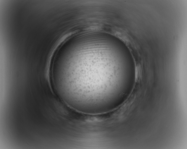 X0000091470195200709241311