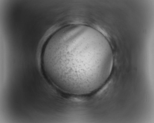 X0000091470199200709241311