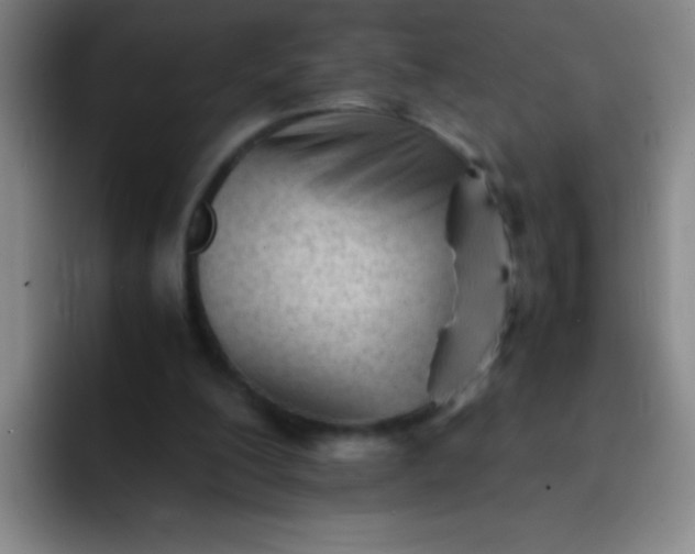 X0000091470200200709241311