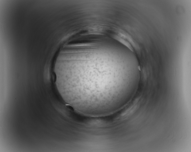 X0000091470203200709241311