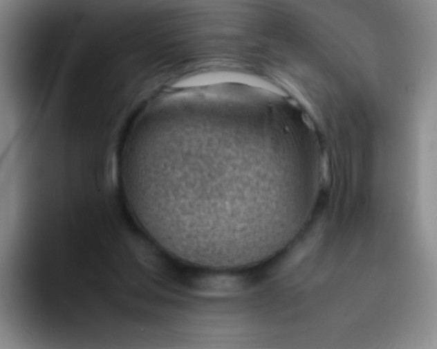 X0000091470205200709241311