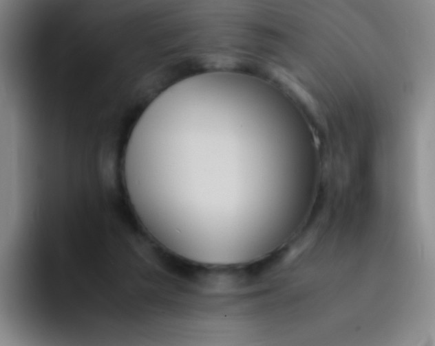 X0000091470209200709241311