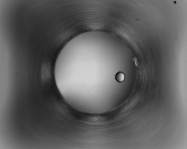 X0000091470212200709241311