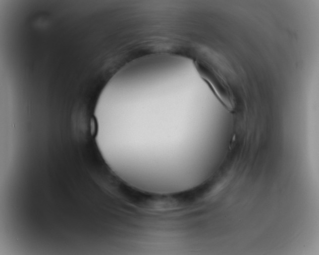 X0000091470215200709241311