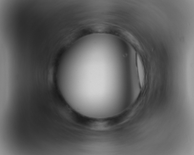 X0000091470217200709241311