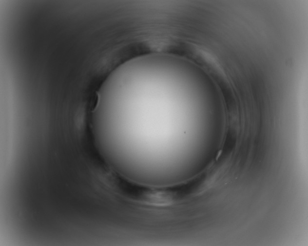 X0000091470221200709241311