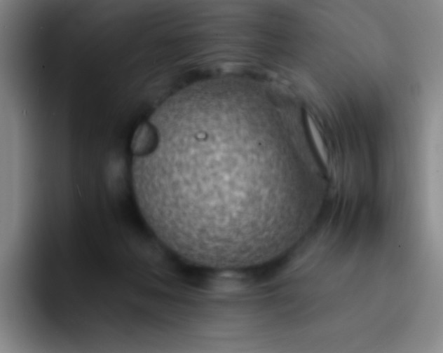 X0000091470222200709241311