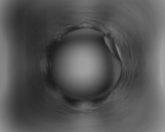 X0000091470223200709241311