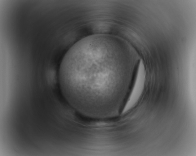 X0000091470224200709241311