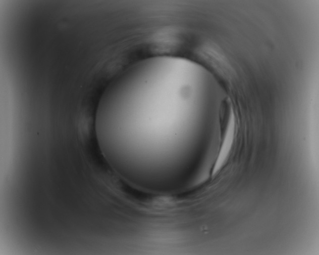 X0000091470227200709241311