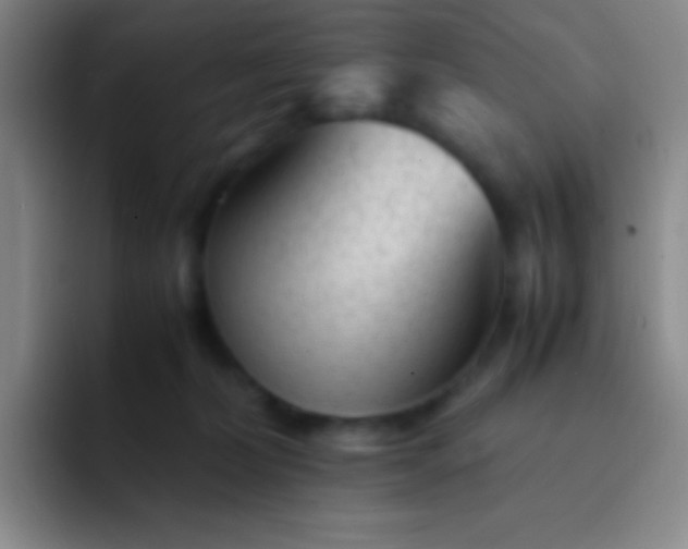 X0000091470228200709241311