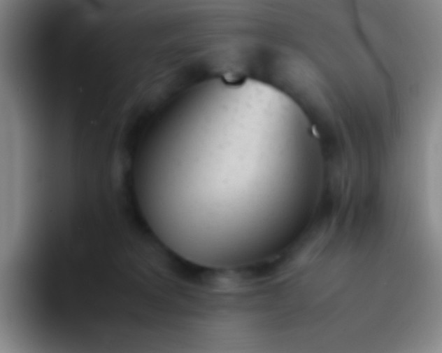 X0000091470229200709241311