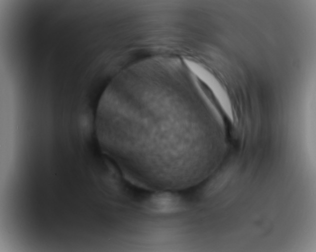 X0000091470231200709241311