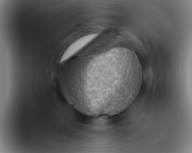 X0000091470233200709241311