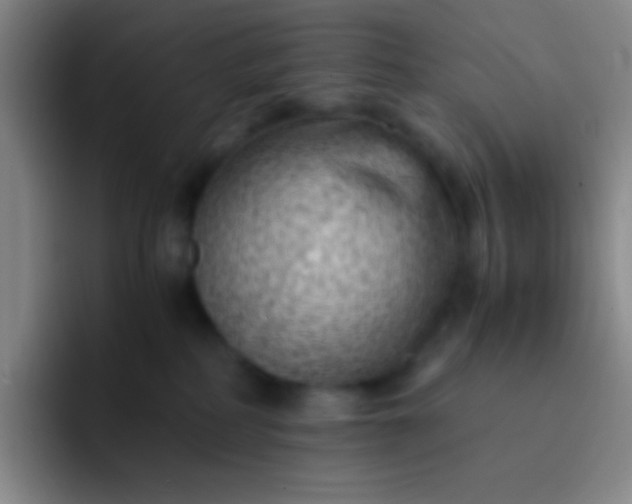 X0000091470234200709241311