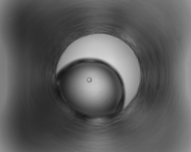 X0000091470237200709241311