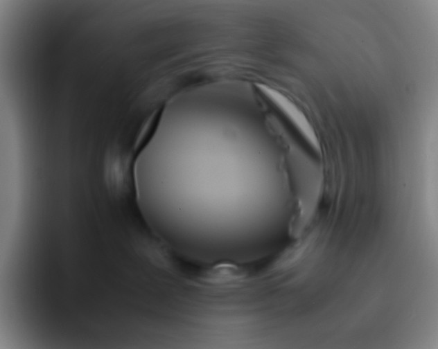 X0000091470239200709241311