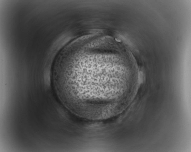 X0000091470243200709241310