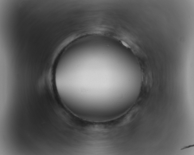 X0000091470244200709241310