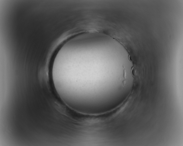 X0000091470246200709241310