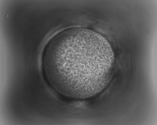 X0000091470247200709241310