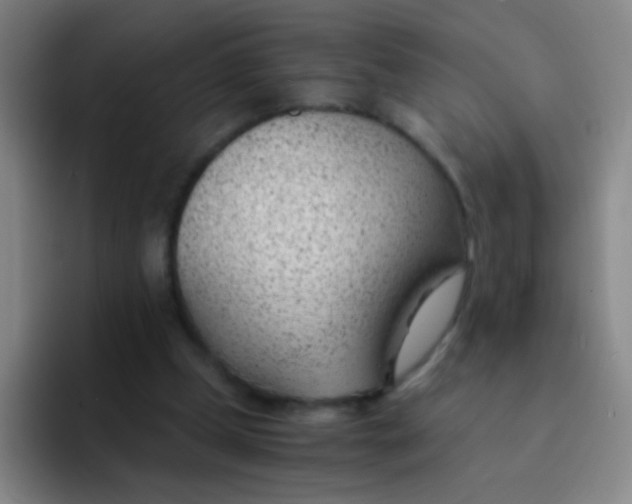 X0000091470249200709241310